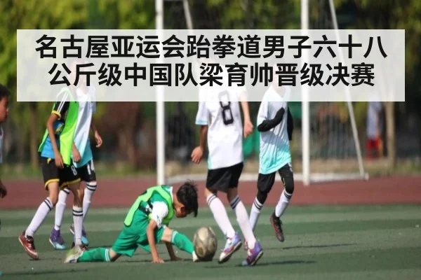 名古屋亚运会跆拳道男子六十八公斤级中国队梁育帅晋级决赛（Kaiyun APP）