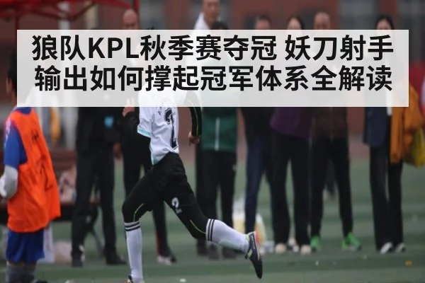 狼队KPL秋季赛夺冠 妖刀射手输出如何撑起冠军体系全解读 - Kaiyun APP